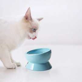 Slanted Cat Bowl