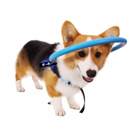 Anti Collision Dog Harness