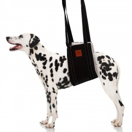 Dog Hip Support Harness