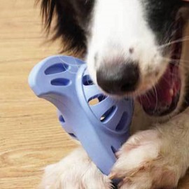 Pet Training Chew Toy