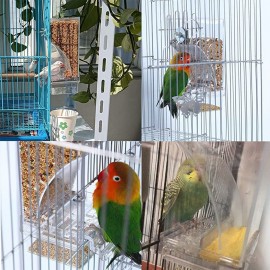 Birds Food Feeder