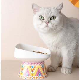 Ceramic Elevated Food Bowl