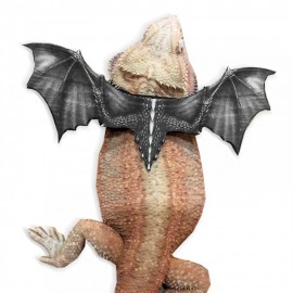 Dragon Harness