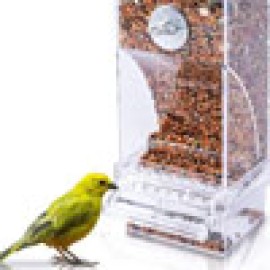 Feeding  Supplies (22)