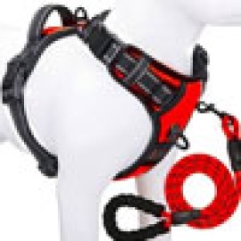 Halter Harnesses (15)